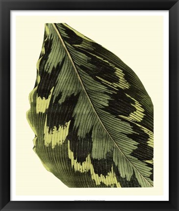 Framed Grandiose Leaves I Print