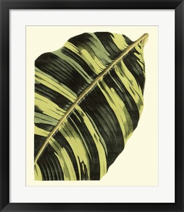 Framed Grandiose Leaves II Print