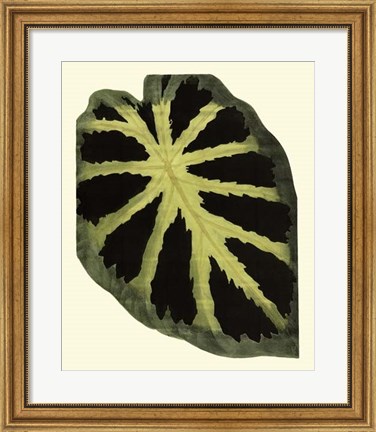 Framed Grandiose Leaves III Print