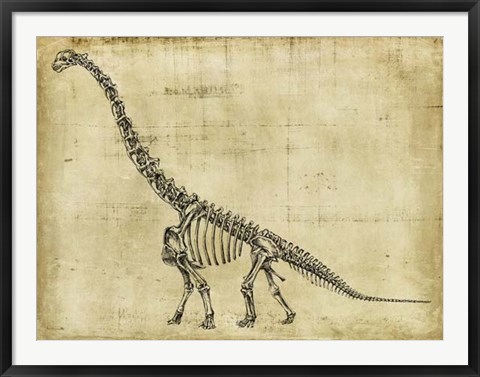 Framed Brachiosaurus Study Print