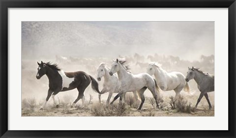 Framed Open Range Print