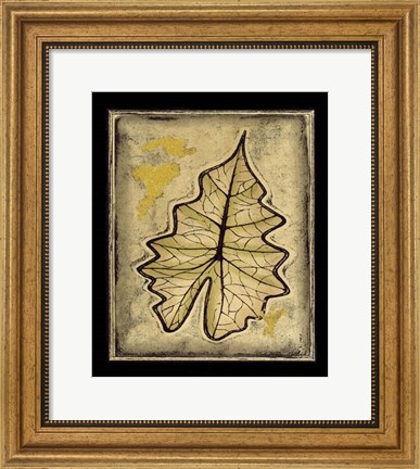 Framed Leaf Panel II Print