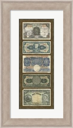 Framed Foreign Currency Panel II Print