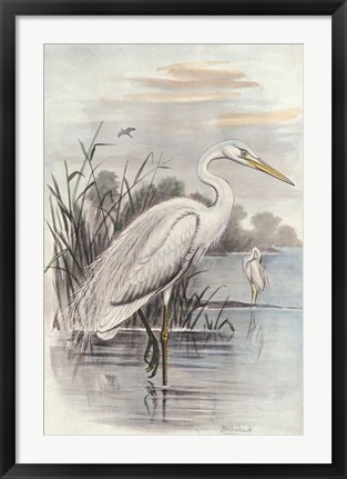 Framed Oversize White Heron Print