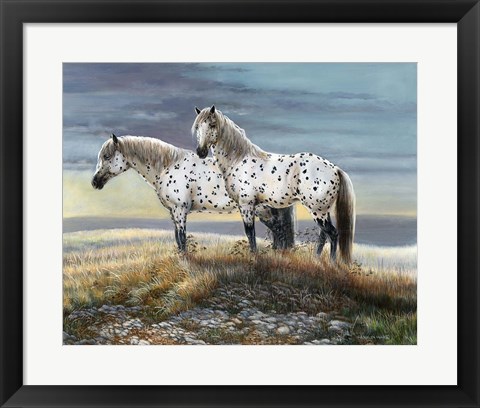 Framed Appaloosa Sundown Print