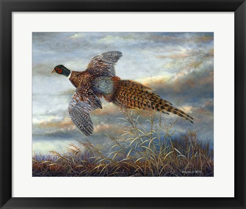 Framed Taking Flight Print