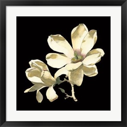 Framed Midnight Magnolias I Print