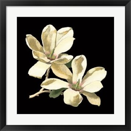 Framed Midnight Magnolias II Print