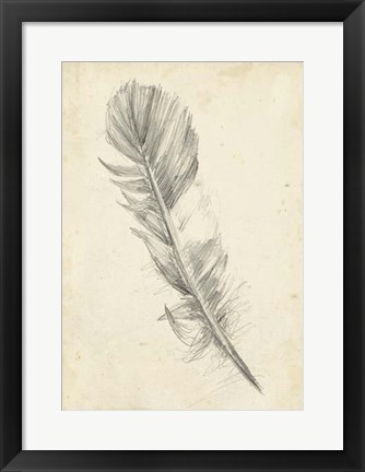 Framed Feather Sketch I Print