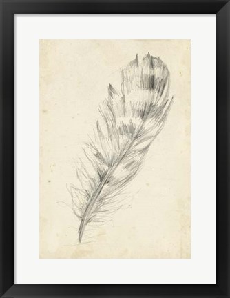 Framed Feather Sketch II Print