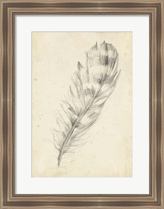 Framed Feather Sketch II Print