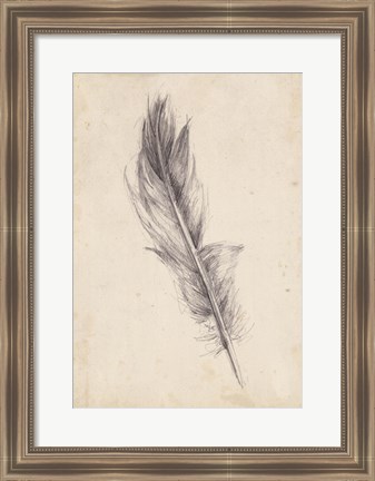 Framed Feather Sketch IV Print