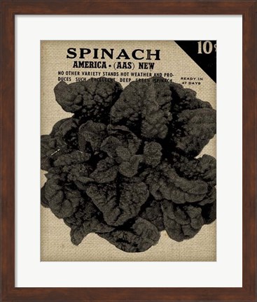 Framed Vintage Seed Pack VI Print