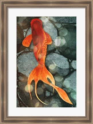 Framed Fantail II Print