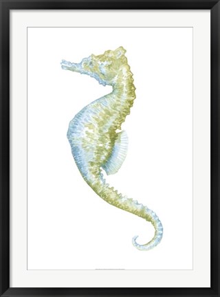 Framed Watercolor Seahorse II Print