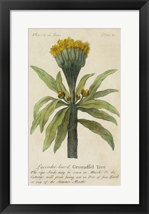 Framed Gardener&#39;s Guide IV Print