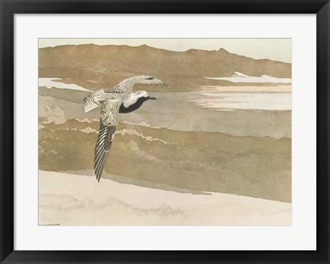 Framed Soaring Print