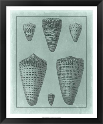 Framed Spa Shell Collection I Print