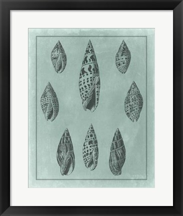 Framed Spa Shell Collection IV Print