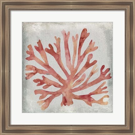 Framed Watercolor Coral III Print