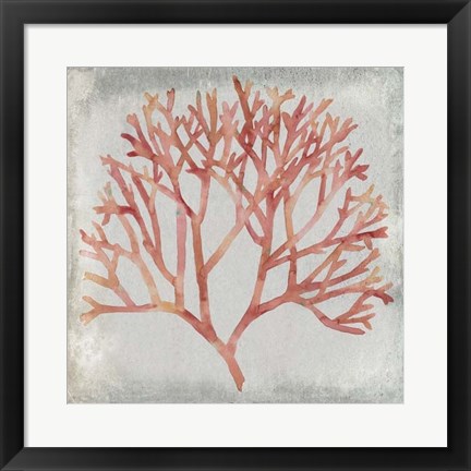 Framed Watercolor Coral IV Print