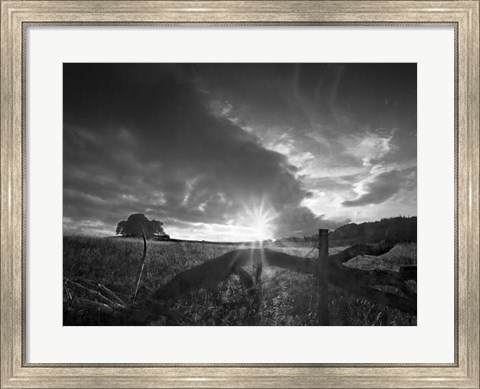 Framed Fallen Tree Print