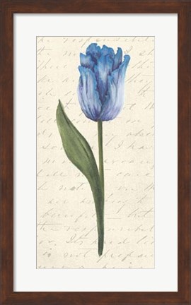 Framed Twin Tulips III Print