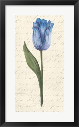 Framed Twin Tulips III Print