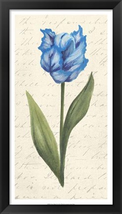 Framed Twin Tulips IV Print