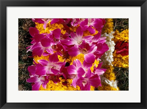 Framed Asia, Singapore. Flowers for sale Print