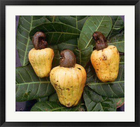 Framed Cashew Nuts, Thailand Print