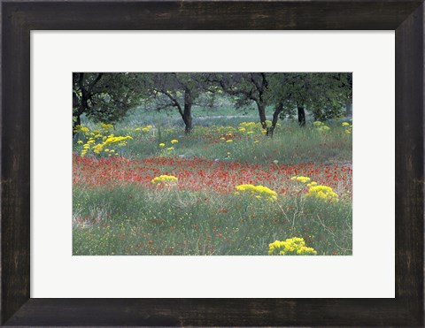 Framed Rural Landscape and Wildflowers, Cappadocia, Turkey Print