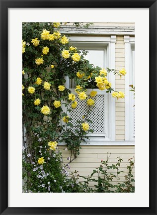 Framed Istanbul, Turkey Print