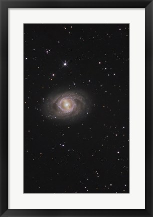 Framed Messier 95, A Barred Spiral Galaxy in the Constellation Leo Print