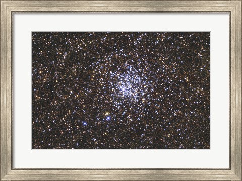 Framed Wild Duck Cluster Print