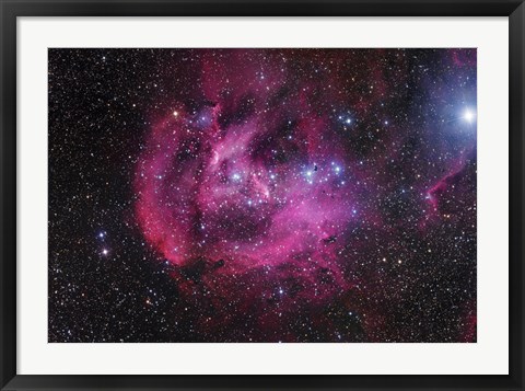 Framed Running Chicken Nebula Print