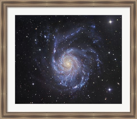 Framed Pinwheel Galaxy in Ursa Major Print