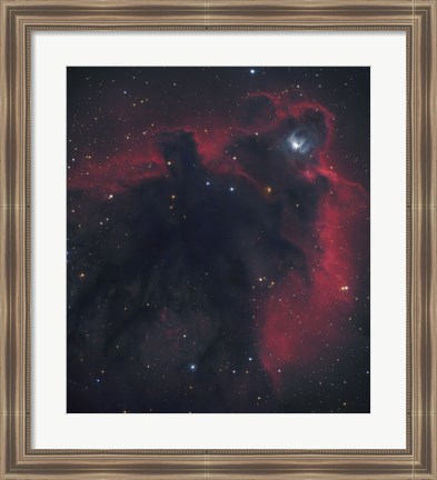 Framed Cometary Globule in Orion Print