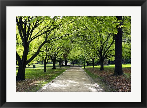 Framed Pathway and Trees, Kings Domain, Melbourne, Victoria, Australia Print