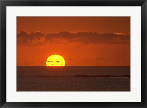 Framed Sunrise, Coolangatta, Gold Coast, Queensland, Australia Print