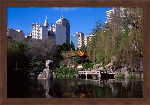 Framed Chinese Garden, Darling Harbor, Sydney, Australia Print