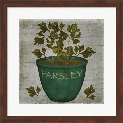 Framed Herb Parsley Print