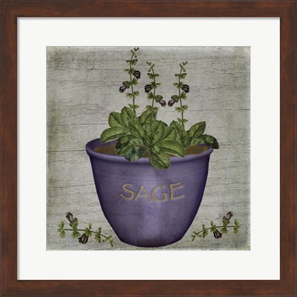 Framed Herb Sage Print