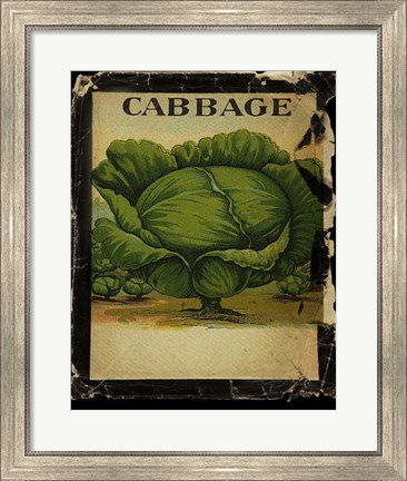 Framed Vintage Cabbage Print