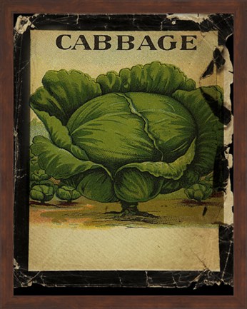 Framed Vintage Cabbage Print