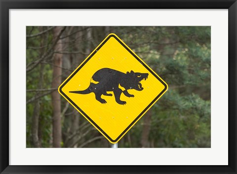 Framed Tasmanian Devil warning sign, Tasman Peninsula, Australia Print