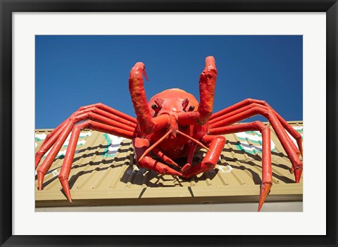 Framed Crustacean, Giant Lobster, Stanley, Tasmania, Australia Print