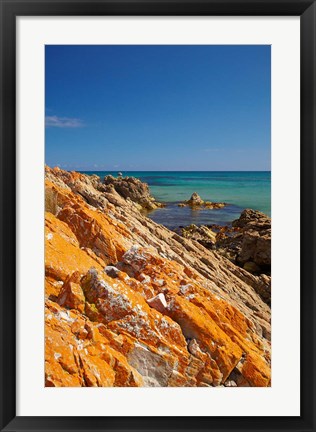 Framed Orange Lichen, Green Point, Ann Bay, Australia Print