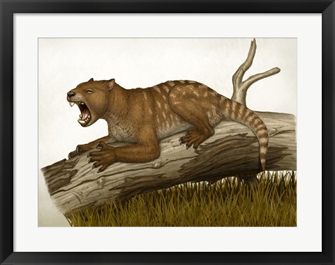 Framed Thylacoleo Carnifex Print