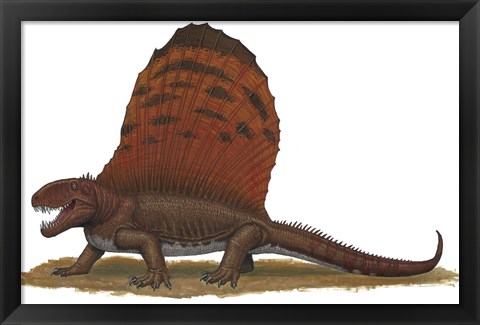 Framed Dimetrodon Print